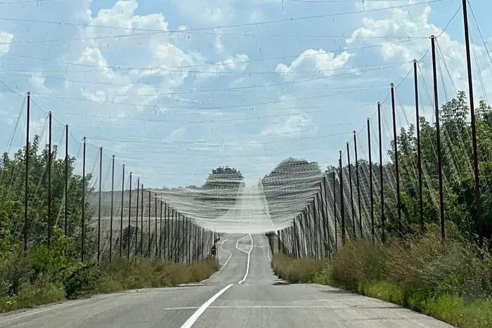 Всі основні дороги затягнуті сіткою. Радник голови Офісу президента показав разючі зміни Краматорська (фото)